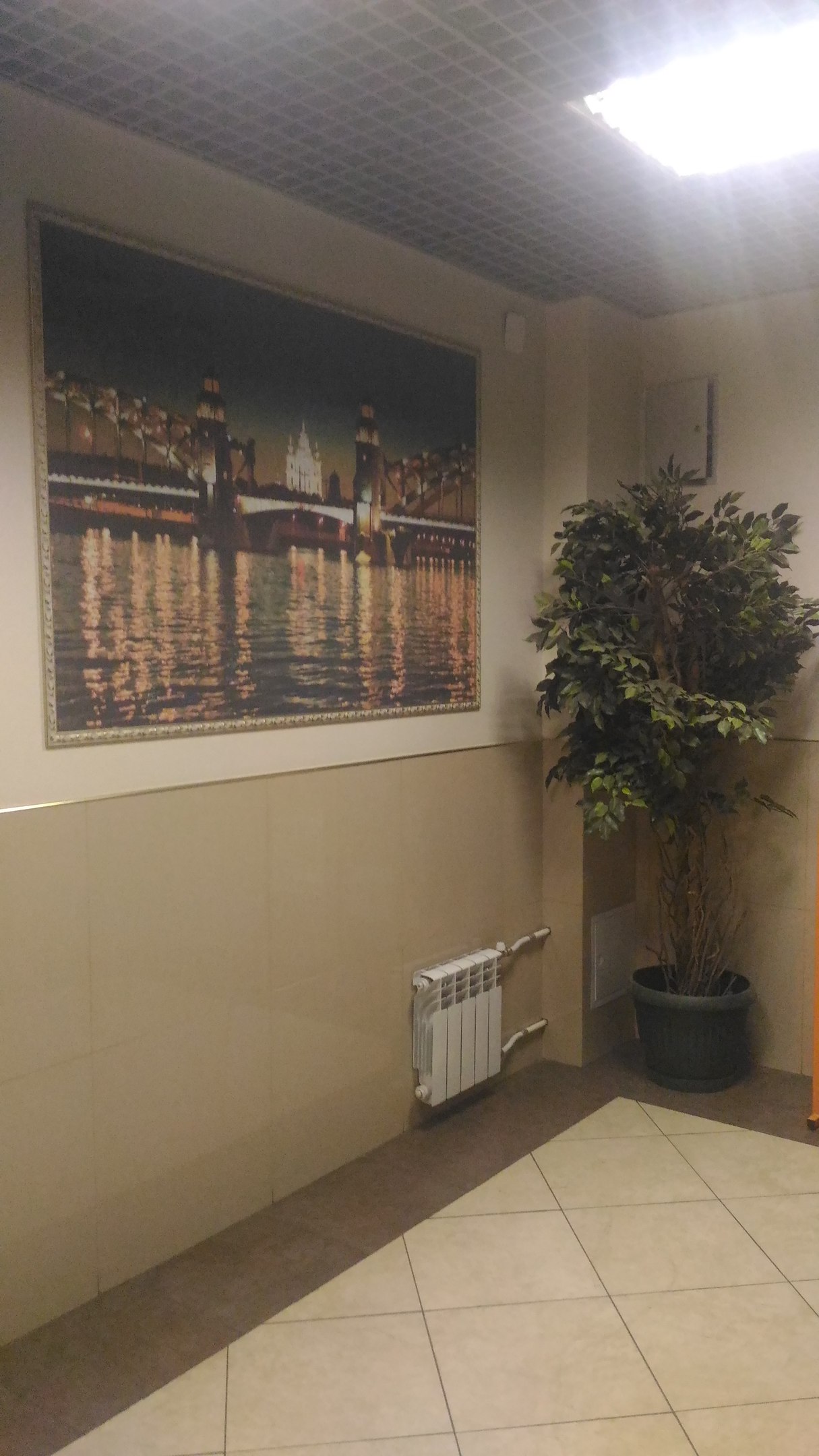 Квартира в Девяткино, 78 м² — фото 3